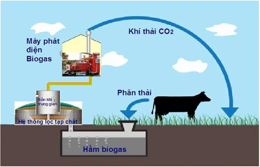 Khí Sinh Học Vì Một Tương Lai Xanh