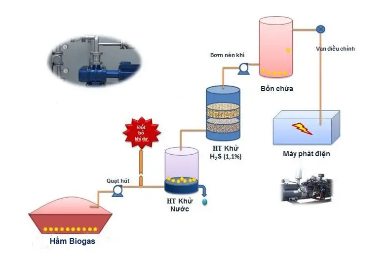 Khí Biogas Sức Mạnh Tiềm Ẩn Từ Rác Thải