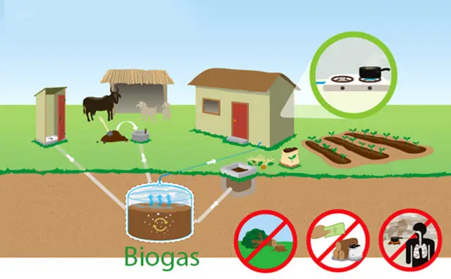 Khí Biogas Sức Mạnh Tiềm Ẩn Từ Rác Thải