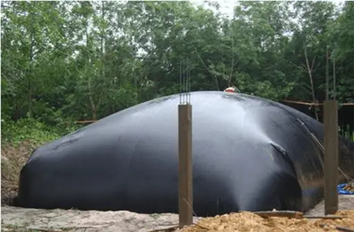 Hầm biogas chứa khí gì