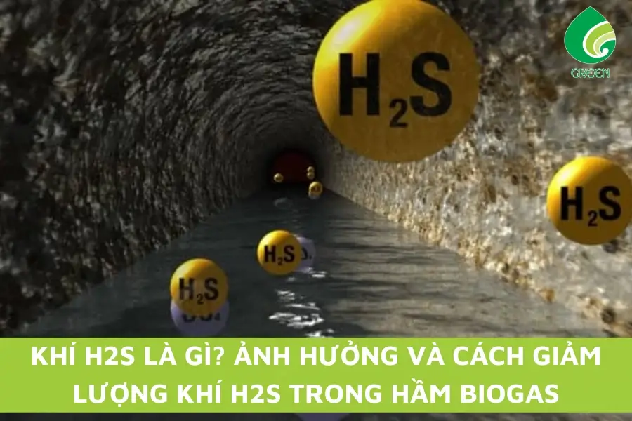 Hầm biogas chứa khí gì