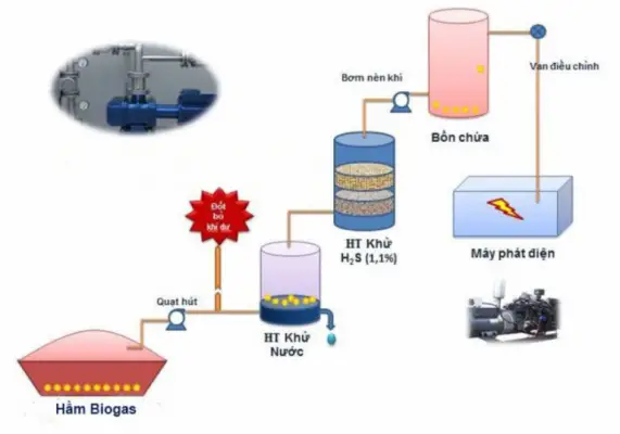 Quy trình sản xuất khí biogas