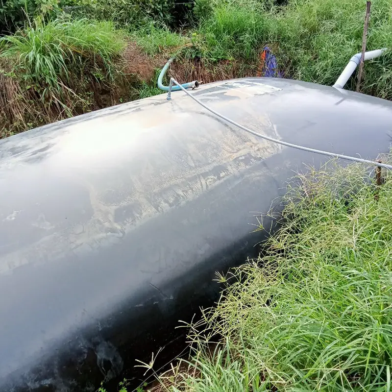 Quy trình sản xuất khí biogas