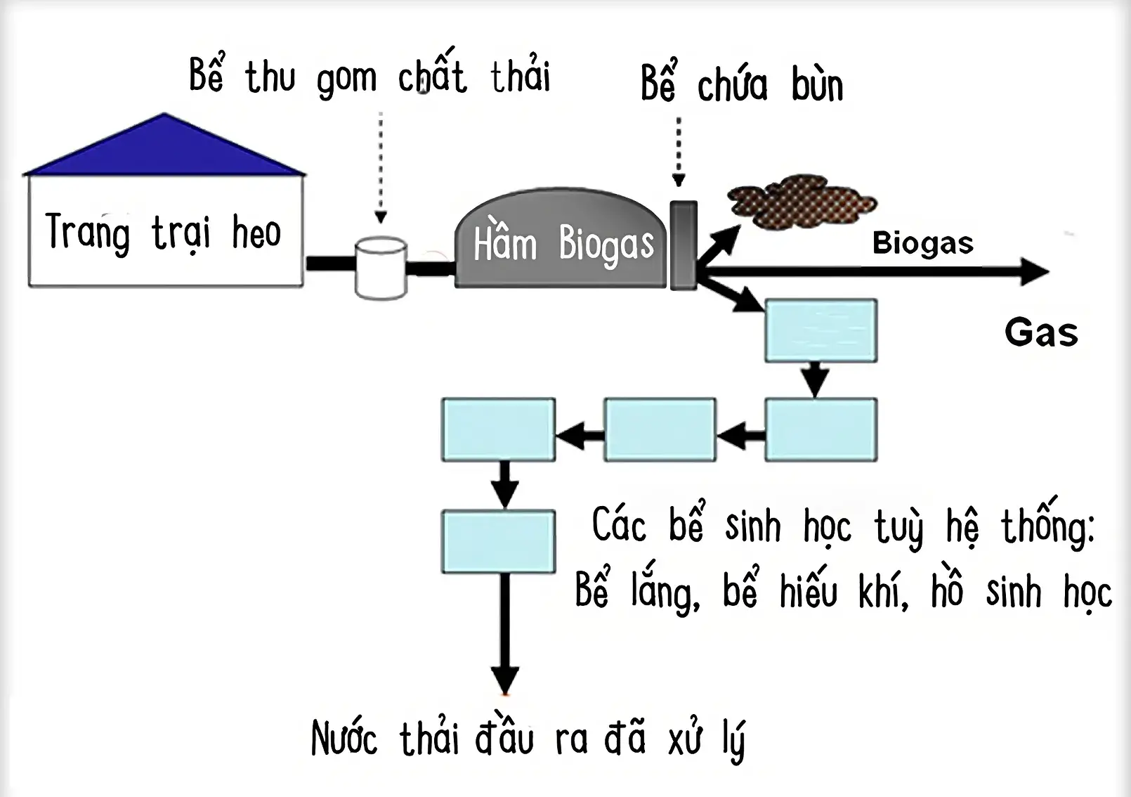 Quy trình sản xuất khí biogas