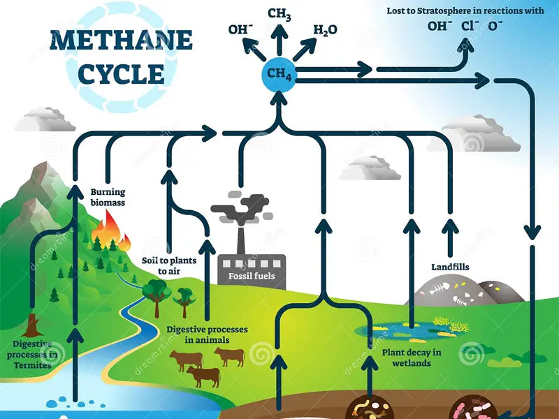 Quy trình sản xuất khí biogas