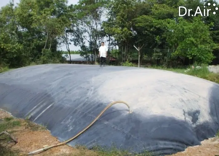 Quy trình sản xuất khí biogas