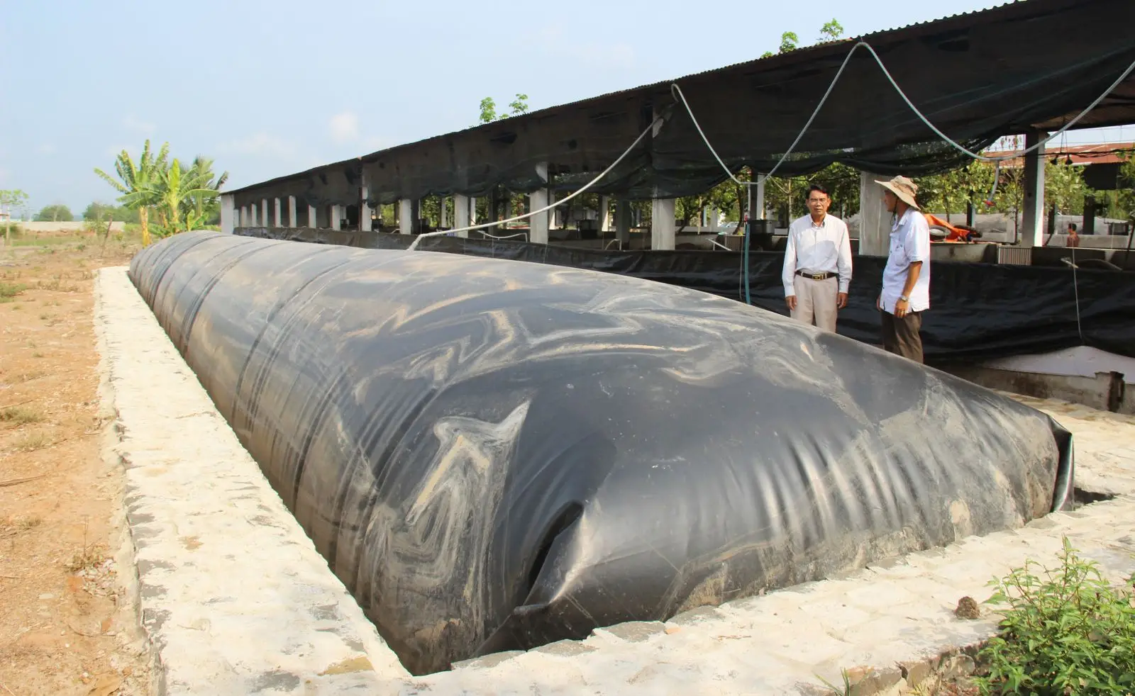 Quy trình sản xuất khí biogas