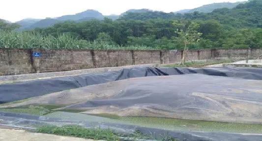 Khí biogas dùng để làm gì