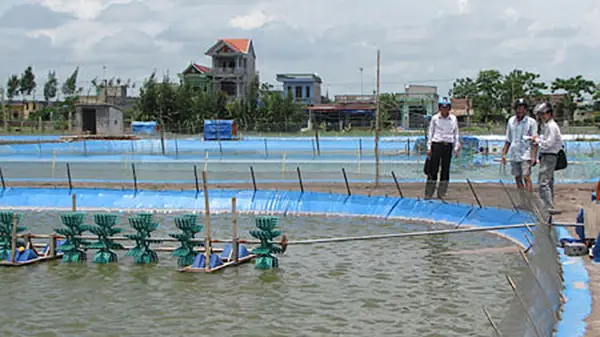 Viện nghiên cứu nuôi trồng thủy sản 2