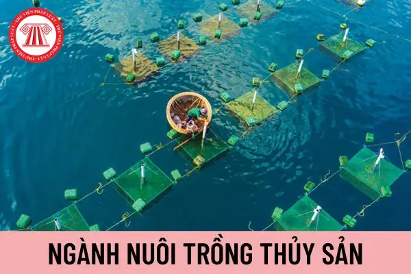 Nuôi trồng thủy sản của nước ta hiện nay