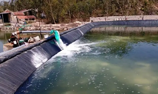 Nuôi trồng thủy sản nước ngọt