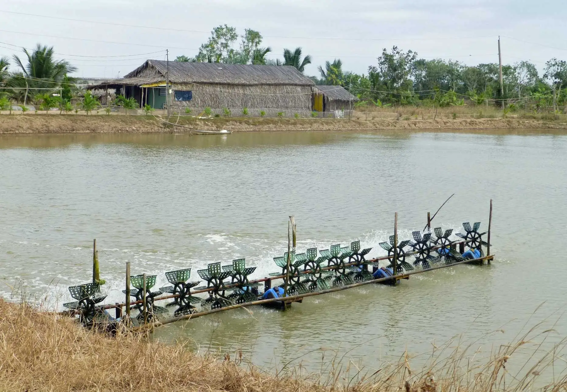 Nuôi trồng thủy sản nước ngọt