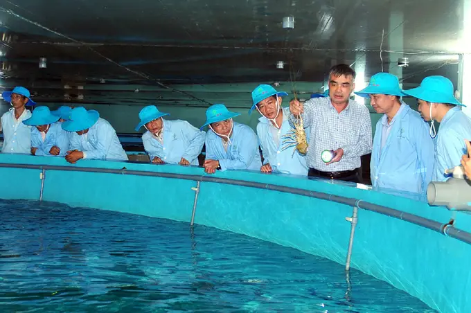 Nuôi trồng thủy sản Thời đại mới