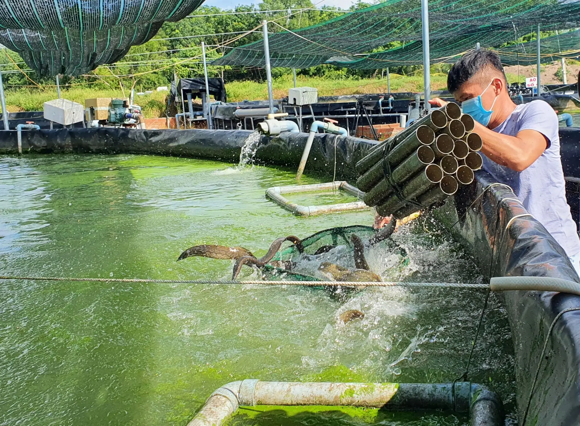 Nuôi trồng thủy sản Thời đại mới