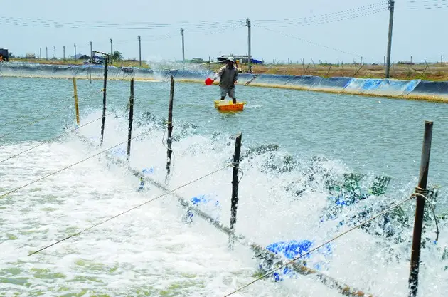 Kỹ thuật nuôi trồng thủy sản