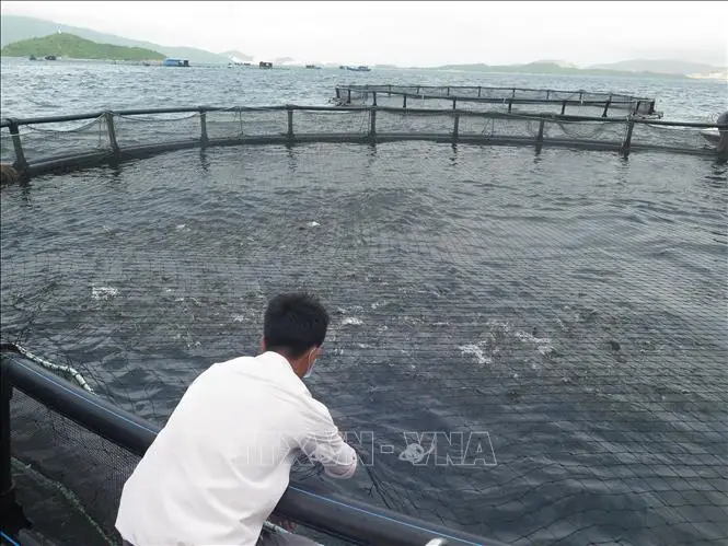Công nghệ nuôi trồng thủy sản