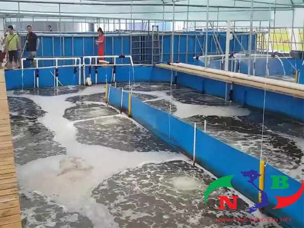 Công nghệ nuôi trồng thủy sản