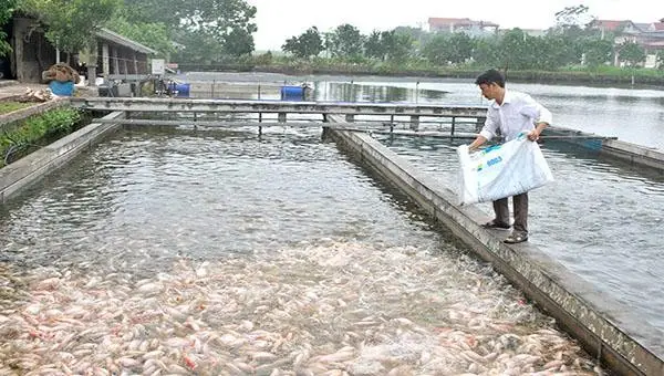Kỹ thuật nuôi trồng thủy sản