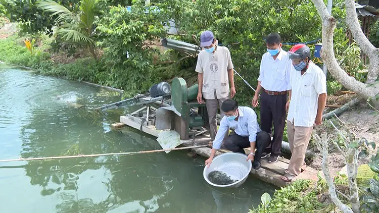 Mô hình nuôi trồng thủy sản