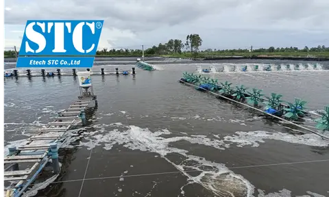 Mô hình nuôi trồng thủy sản