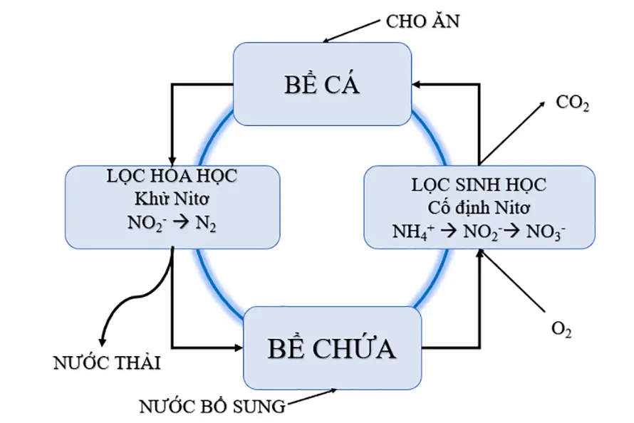 Mô hình nuôi trồng thủy sản