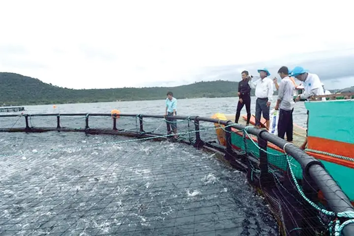 Mô hình nuôi trồng thủy sản