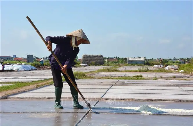 Ruộng Muối Cần Giờ Di sản Văn hóa và Tương lai Bền vững