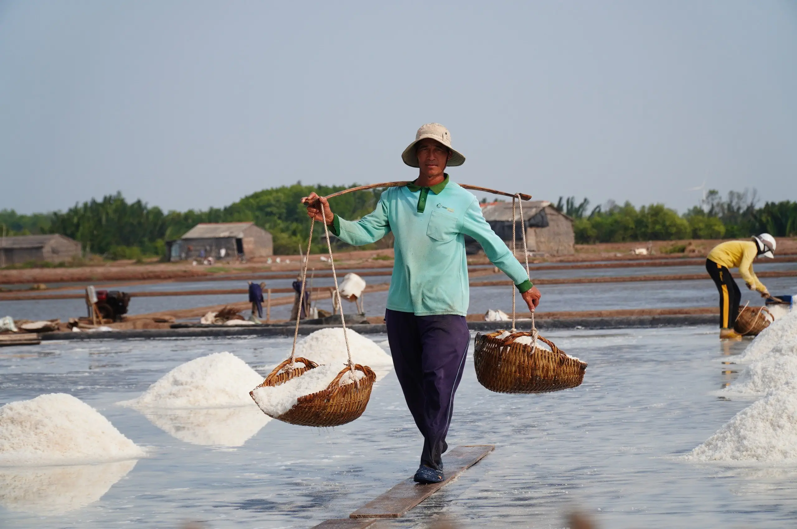 Ruộng Muối Cần Giờ Di sản Văn hóa và Tương lai Bền vững