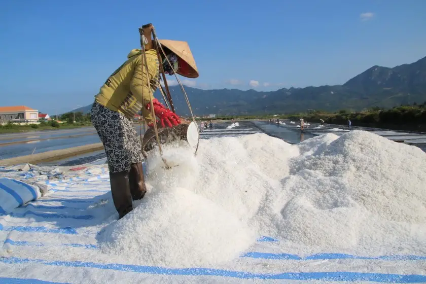 Ruộng Muối Cần Giờ Di sản Văn hóa và Tương lai Bền vững