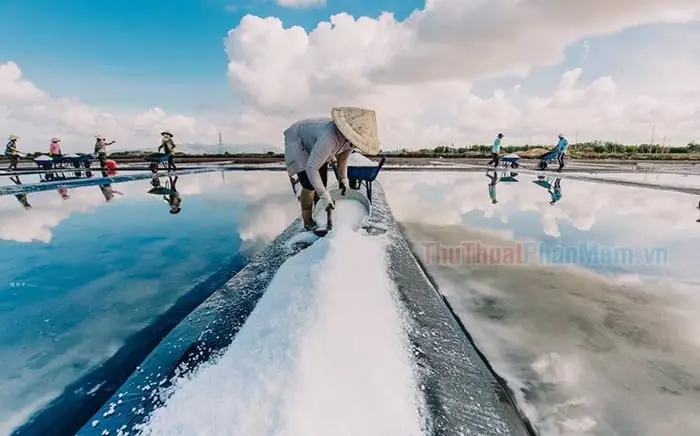 Ruộng Muối Cần Giờ Di sản Văn hóa và Tương lai Bền vững