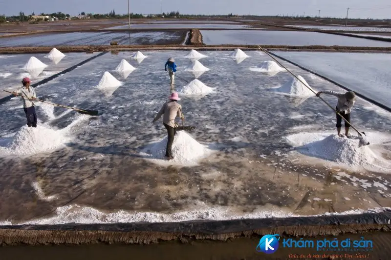 Ruộng Muối Cần Giờ Di sản Văn hóa và Tương lai Bền vững