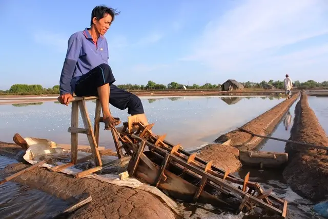 Ruộng Muối Cần Giờ Di sản Văn hóa và Tương lai Bền vững