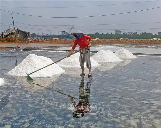 Hơi Thở Biển Khơi – Ruộng Muối Và Bản Tình Ca Xứ Quảng