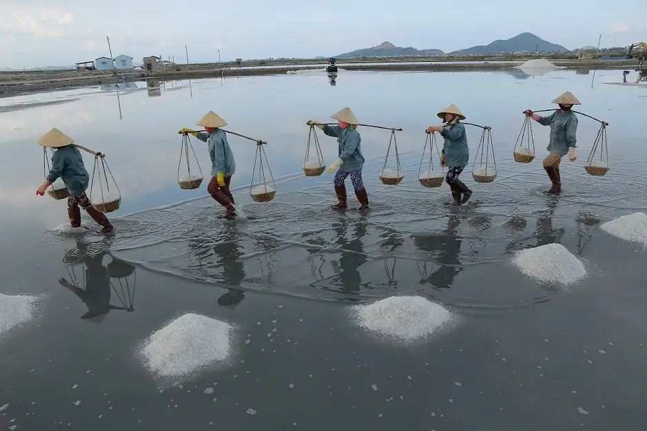 Hơi Thở Biển Khơi – Ruộng Muối Và Bản Tình Ca Xứ Quảng
