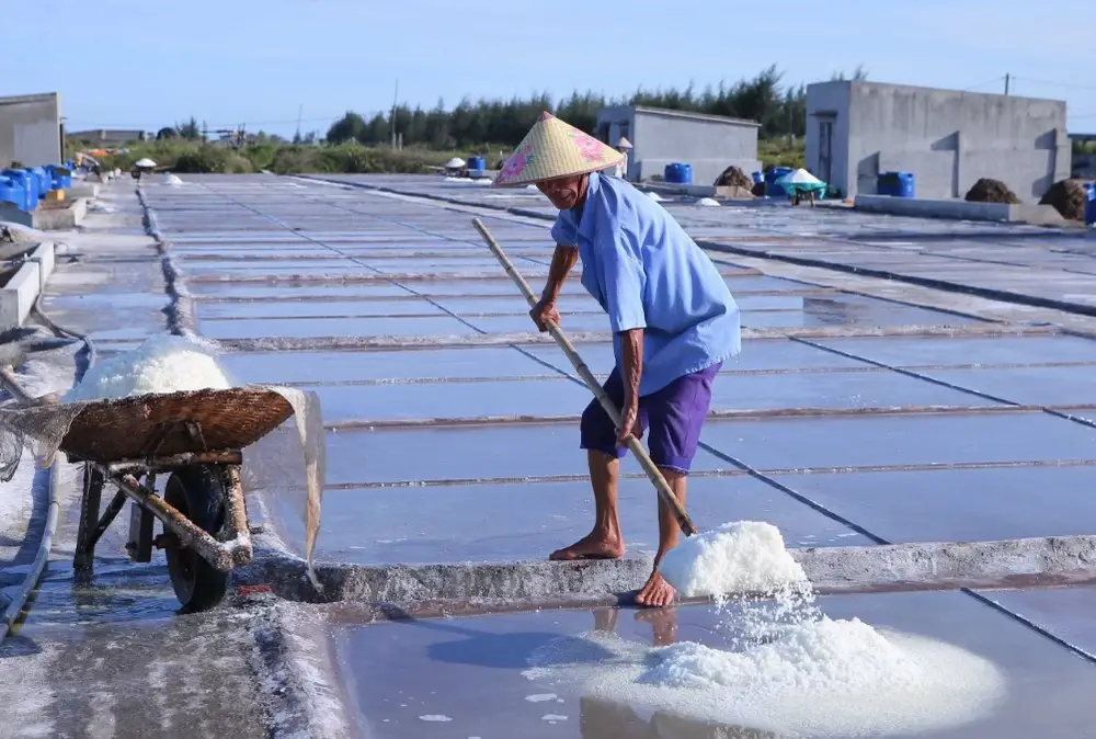 Hơi Thở Biển Khơi – Ruộng Muối Và Bản Tình Ca Xứ Quảng