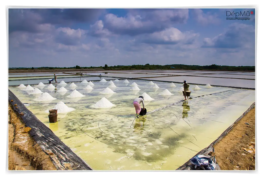 Hơi Thở Biển Khơi – Ruộng Muối Và Bản Tình Ca Xứ Quảng