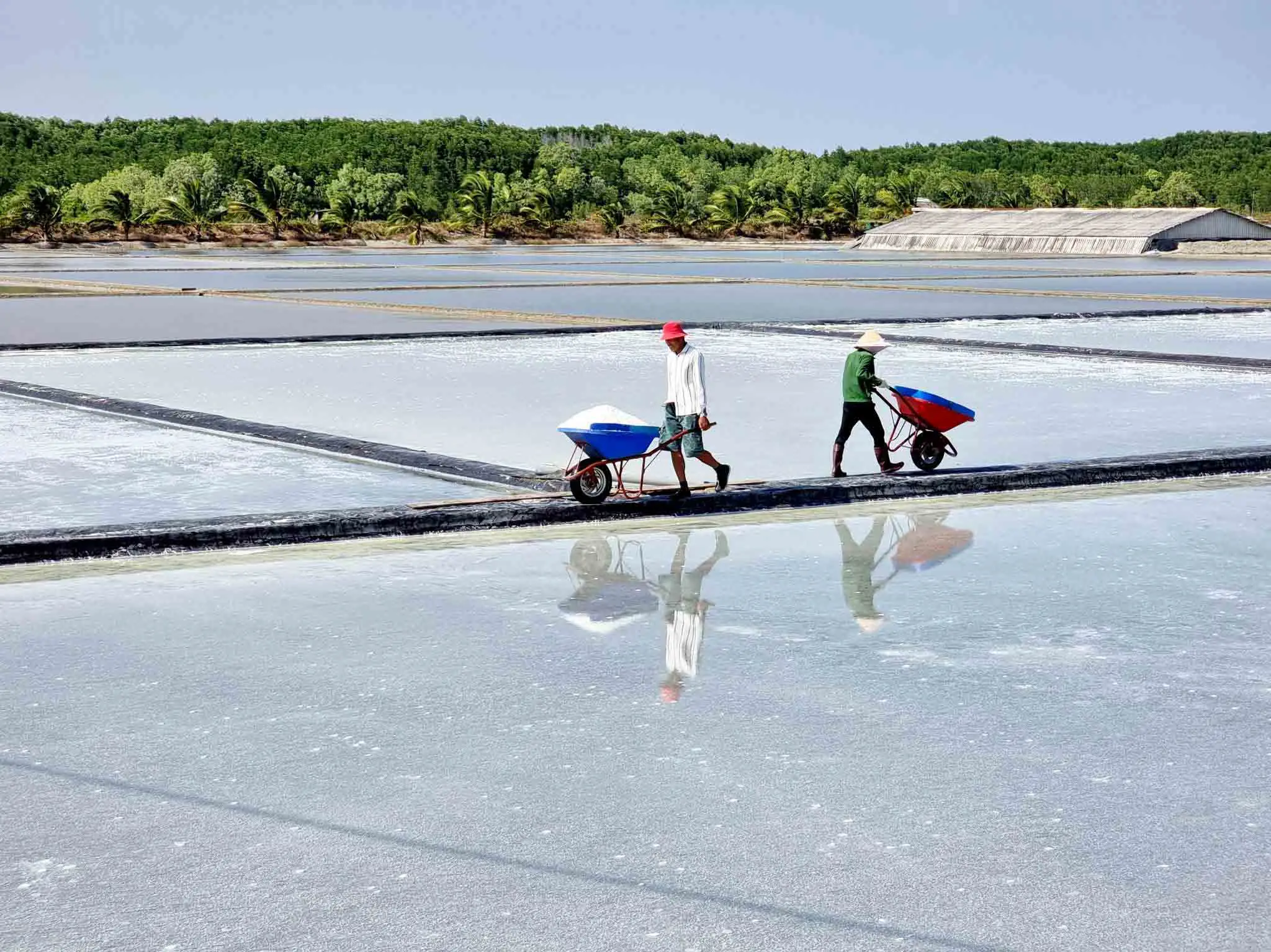 Hơi Thở Biển Khơi – Ruộng Muối Và Bản Tình Ca Xứ Quảng