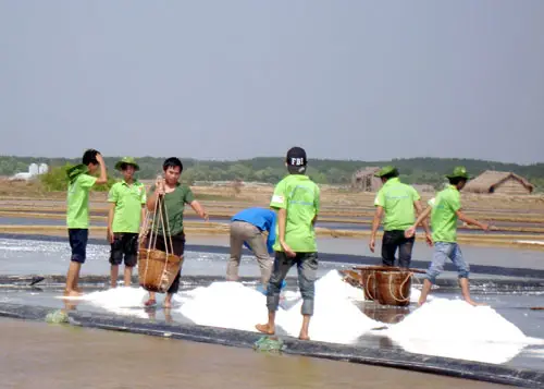 Cách Mạng Trắng Tương Lai Của Ngành Muối Với Lót Bạt Ruộng Muối