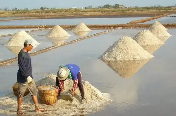 Cách Mạng Trắng Tương Lai Của Ngành Muối Với Lót Bạt Ruộng Muối