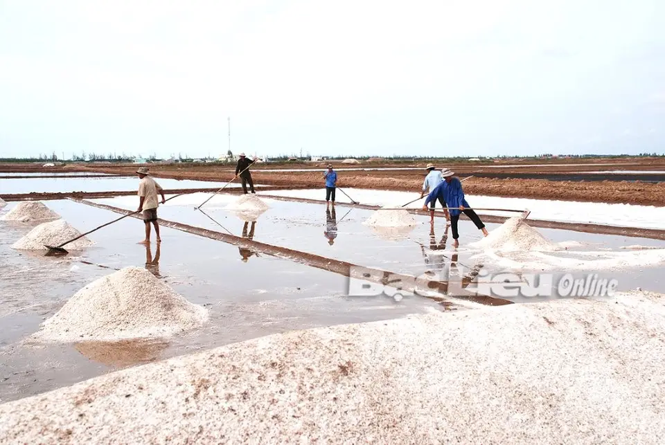Bạch Long – Bản Tình Ca Muối Và Người