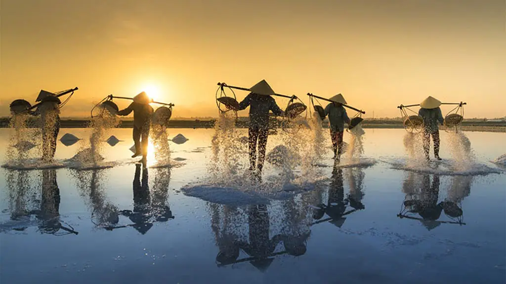 Bạch Long – Bản Tình Ca Muối Và Người