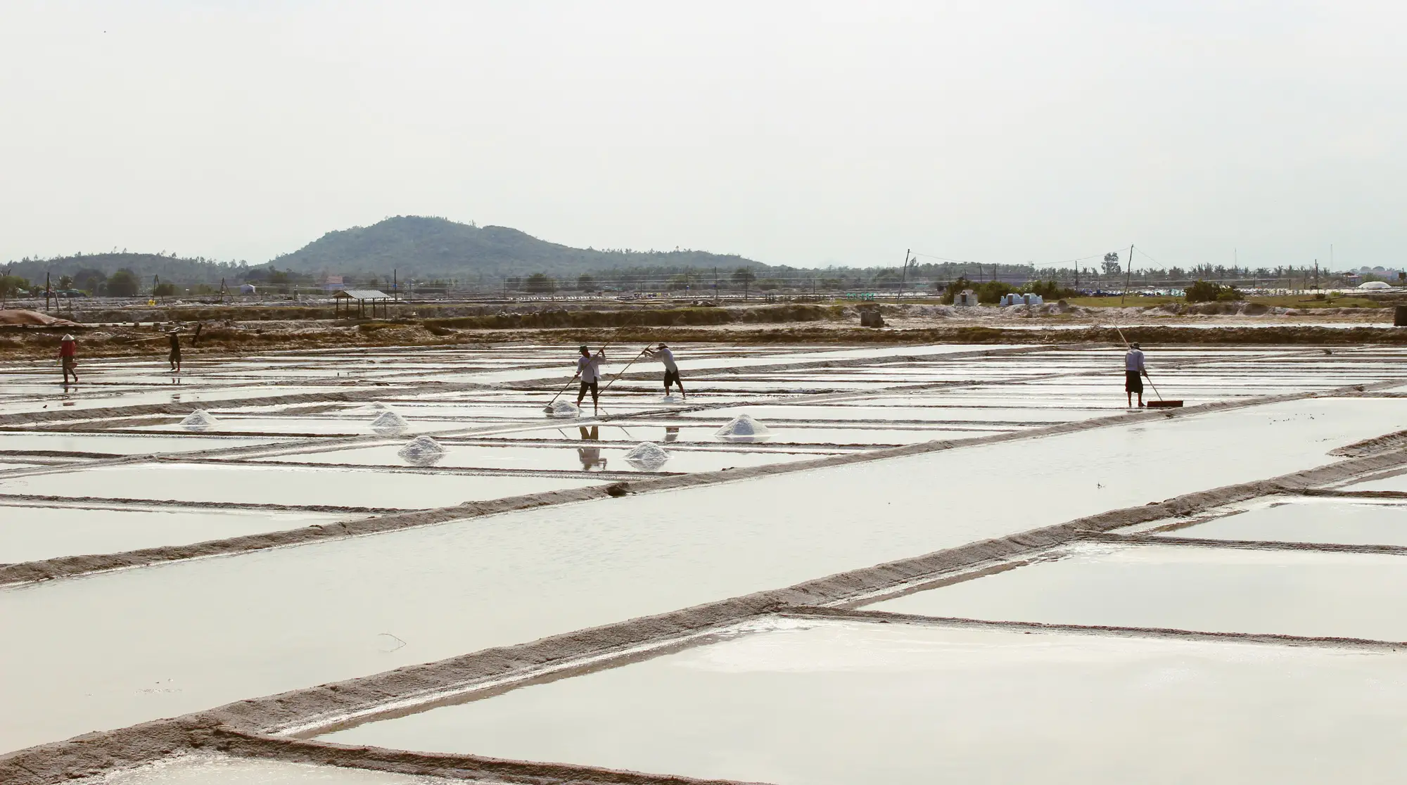 Bạch Long – Bản Tình Ca Muối Và Người