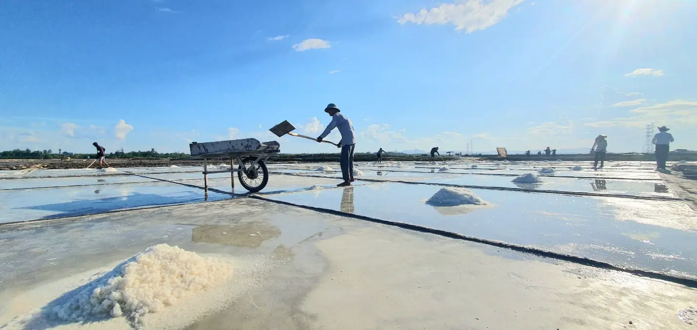 Bạch Long – Bản Tình Ca Muối Và Người