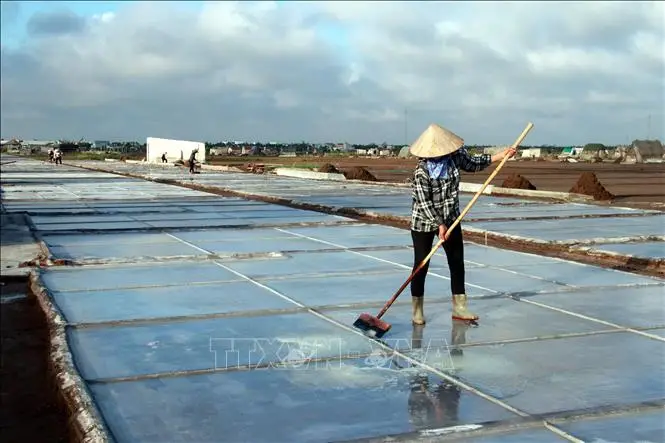 Bạch Long – Bản Tình Ca Muối Và Người