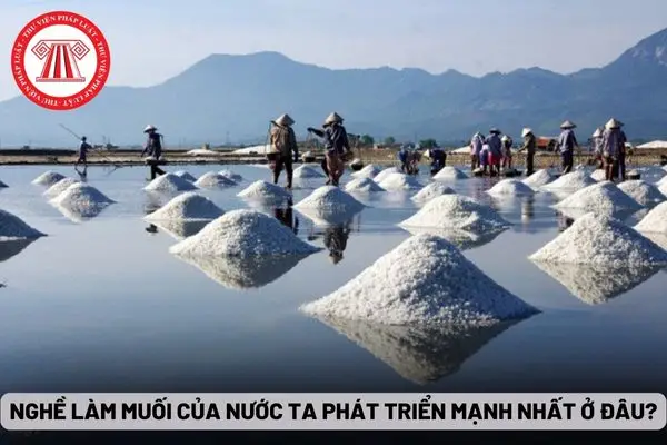 Ruộng Muối Bùi Lâm - Di Sản Văn Hóa và Niềm Hy Vọng Tương Lai