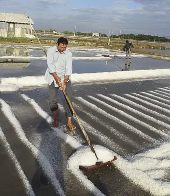 Ruộng Muối Bùi Lâm - Di Sản Văn Hóa và Niềm Hy Vọng Tương Lai
