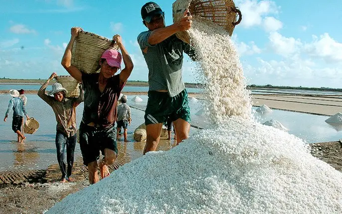 Ruộng Muối Bùi Lâm - Di Sản Văn Hóa và Niềm Hy Vọng Tương Lai