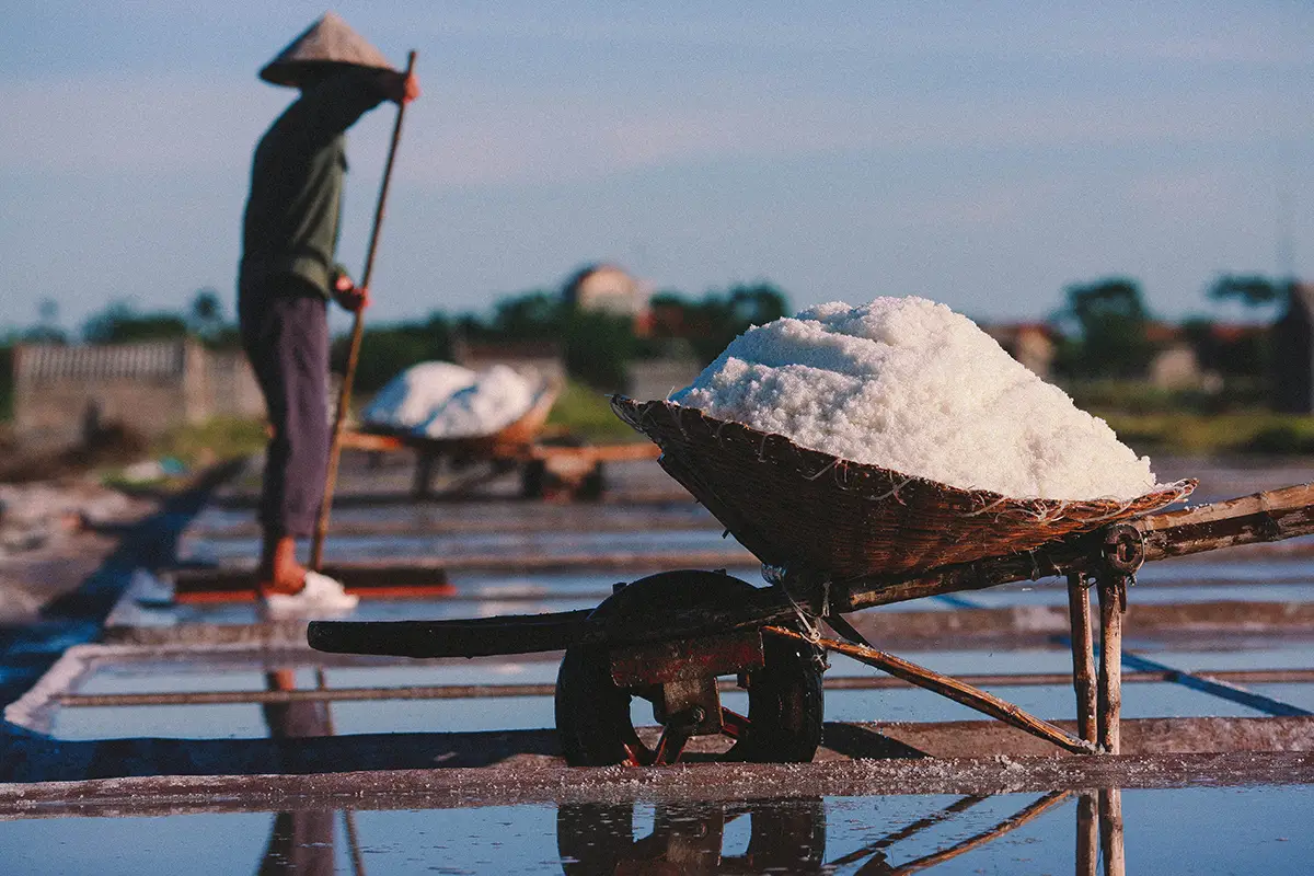 Ruộng Muối Bùi Lâm - Di Sản Văn Hóa và Niềm Hy Vọng Tương Lai