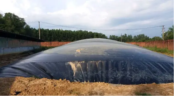 Khám Phá Nguyên Lý Hầm Biogas Để Tương Lai Bền Vững