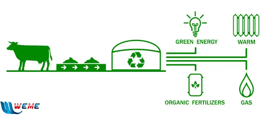 Hầm Biogas - Giải Pháp Xanh cho Tương Lai Nông Nghiệp Việt Nam
